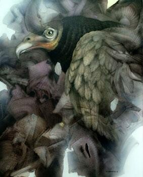 Painting titled "Di-Maccio" by Gérard Di-Maccio, Original Artwork, Oil