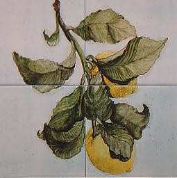 Peinture intitulée "citrons" par Ghyslaine De Sevlian, Œuvre d'art originale, Huile