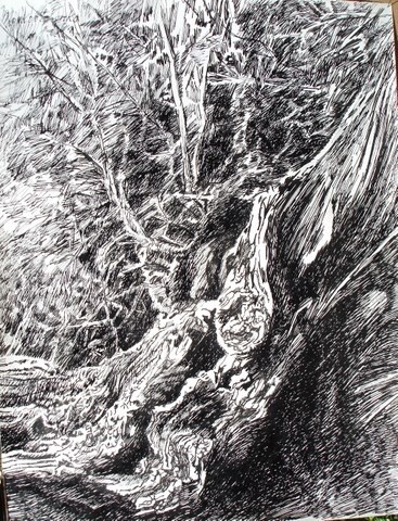 Drawing titled "2009 LE CHATAIGNIER" by Michel Moskovtchenko, Original Artwork, Ink