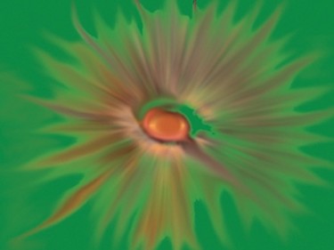 Artes digitais intitulada "Circular Dossel in…" por Cecília Melo E Castro, Obras de arte originais, Óleo