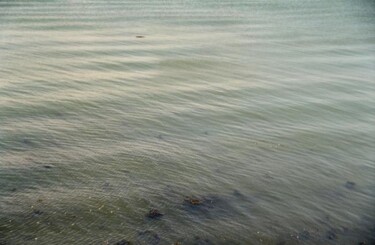 Photography titled "softness" by Pascal Senequier Buquen, Original Artwork