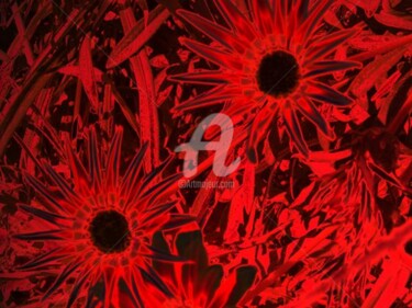 Arts numériques intitulée "Fleur rouge 13" par Morganv6, Œuvre d'art originale