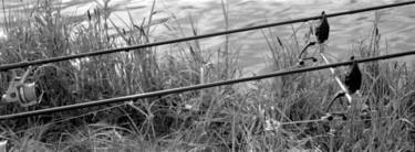 Photographie intitulée "lignes" par Marc Steiner, Œuvre d'art originale