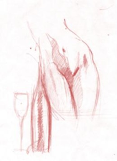 Drawing titled "agarrafa.jpg" by Aldo Luiz De Paula Fonseca, Original Artwork