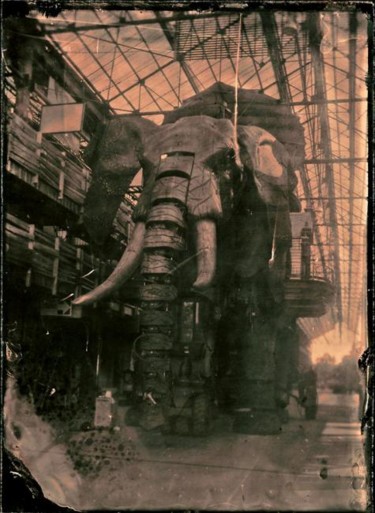 Photographie intitulée "Eléphant" par Francis Courtemanche, Œuvre d'art originale