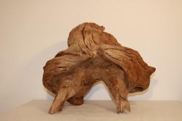 Sculpture intitulée "oiseau de proie" par Denis Thebaudeau, Œuvre d'art originale, Bois