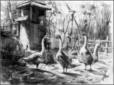 Painting titled "Duck_Sketch01" by Kishore Singh, Original Artwork, Oil