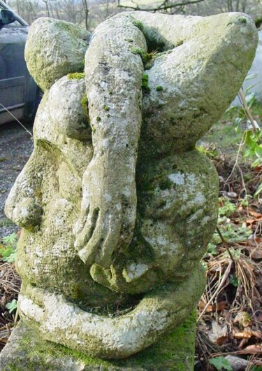 Birth head