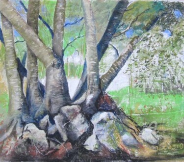 Peinture intitulée "Hêtres ...ou ne pas…" par Claudette Allosio, Œuvre d'art originale, Pastel