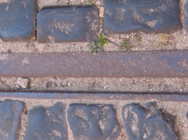 Fotografia intitolato "lisbonne 2008 entre…" da Grate, Opera d'arte originale