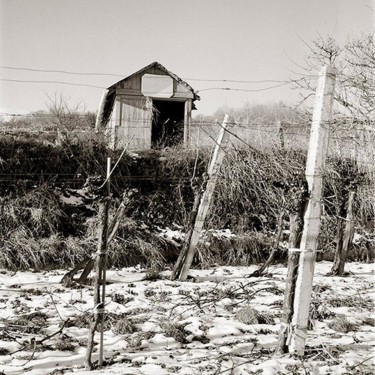Fotografie mit dem Titel "Vineyard Shed IX" von Christian Sodomka, Original-Kunstwerk