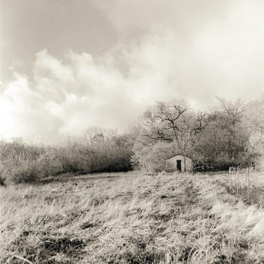 Fotografie mit dem Titel "Vineyard Shed III" von Christian Sodomka, Original-Kunstwerk