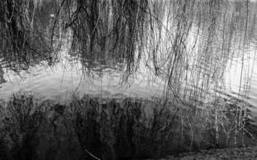 Photographie intitulée "Au bord de l'eau à…" par Catherine Martel, Œuvre d'art originale, Photographie numérique