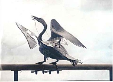 Sculpture intitulée "Cormoran" par Mile, Œuvre d'art originale