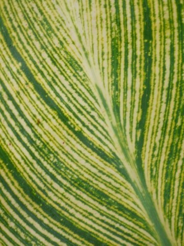 Photographie intitulée "La disjonction" par Wolf Thiele, Œuvre d'art originale, Photographie non manipulée