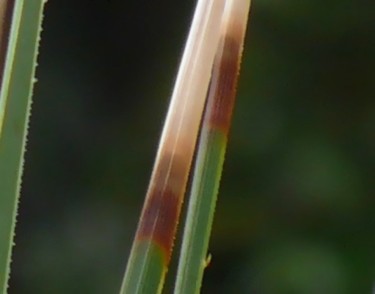 Photographie intitulée "Trois lignes en esp…" par Wolf Thiele, Œuvre d'art originale, Photographie non manipulée