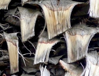 Photographie intitulée "Sortie de l'ombre" par Wolf Thiele, Œuvre d'art originale, Photographie non manipulée