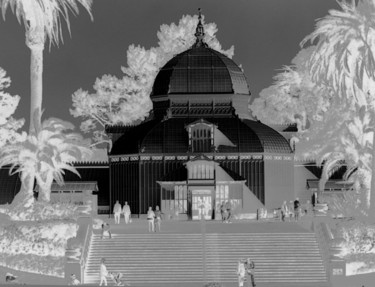 Photography titled "Conservatory of Flo…" by Angelo Di Pietrantonio, Original Artwork