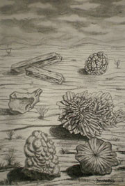 Dessin intitulée "Minéraux" par Josette Bourgeois, Œuvre d'art originale