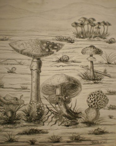 Dessin intitulée "Les champignons" par Josette Bourgeois, Œuvre d'art originale
