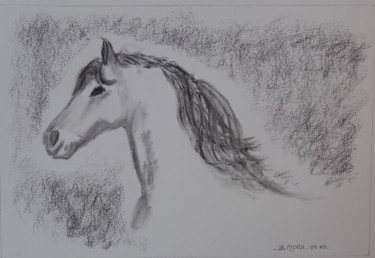 Cheval espagnol