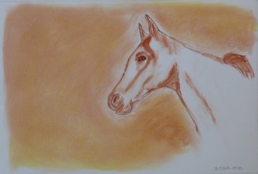 Poulain arabe (sanguine)