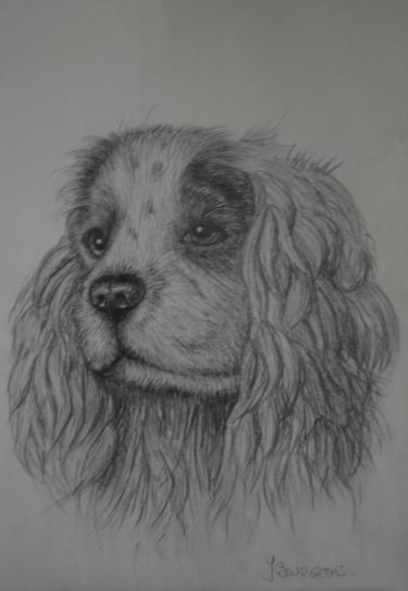 Dessin intitulée "Choupy" par Josette Bourgeois, Œuvre d'art originale