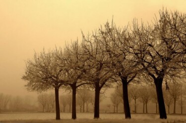 Fotografia intitolato "Tra nebbie e brina" da Angelo Mazzoleni, Opera d'arte originale
