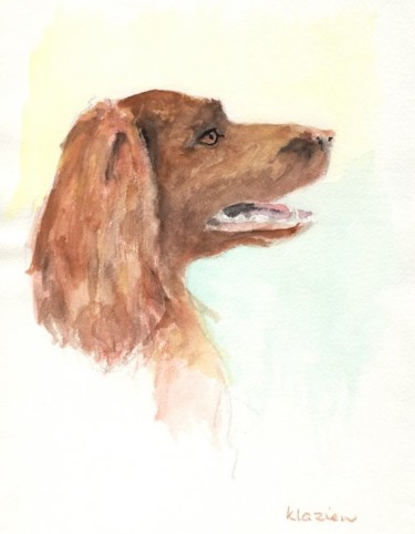 Drawing titled "Irish setter" by Klazien De Vries, Original Artwork