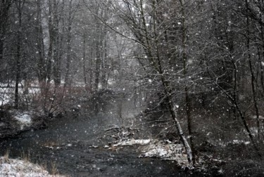 Photography titled "Snow Fall" by Angelo Di Pietrantonio, Original Artwork
