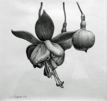 图画 标题为“Levitating blossoms” 由Dietrich Moravec, 原创艺术品, 其他