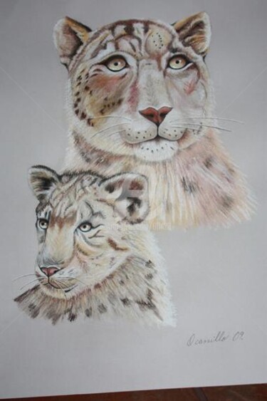 JAGUARES