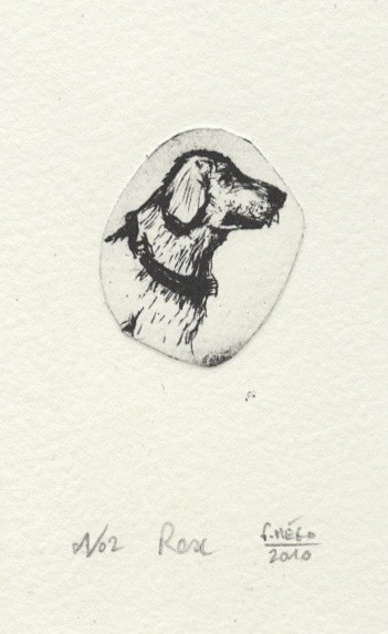 Dessin intitulée "Rex." par Frhégo, Œuvre d'art originale, Autre