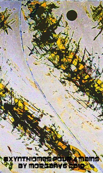 Arts numériques intitulée "Axynthiomes pour 4…" par Morganv6, Œuvre d'art originale