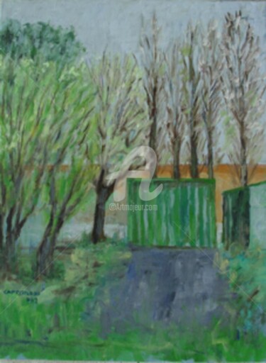 Pittura intitolato "giardino dei Curzio…" da Bruno, Opera d'arte originale, Olio
