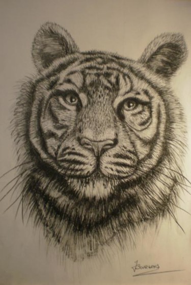 Dessin intitulée "Tigre du Bengale" par Josette Bourgeois, Œuvre d'art originale