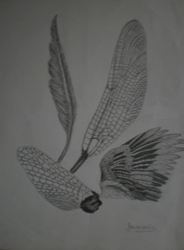 Dessin intitulée "Ailes et plumes" par Josette Bourgeois, Œuvre d'art originale