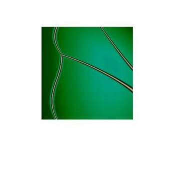 Digital Arts titled "design6.jpg" by Jyn Meyer, Original Artwork