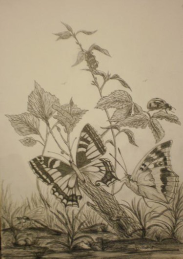 Dessin intitulée "Les insectes" par Josette Bourgeois, Œuvre d'art originale