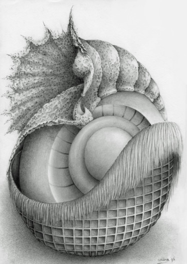 Disegno intitolato "Orologio" da Symona Colina, Opera d'arte originale, Grafite