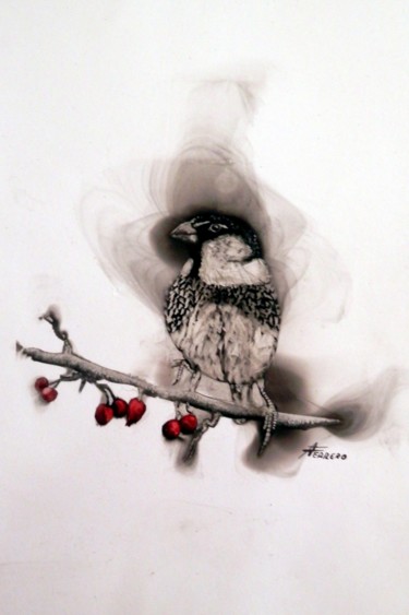 Pintura titulada "El gorrión" por Ferrero Art, Obra de arte original, Acrílico
