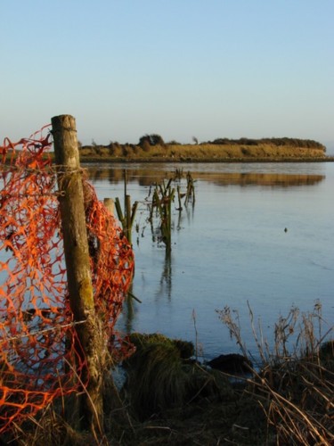 Fotografía titulada "Shannon Estuary" por Ciarán Ó Néill, Obra de arte original