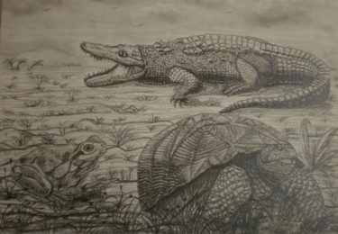 Dessin intitulée "Reptiles et batraci…" par Josette Bourgeois, Œuvre d'art originale