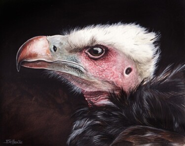 Peinture intitulée "Vautour à tête blan…" par Florence Dellerie, Œuvre d'art originale