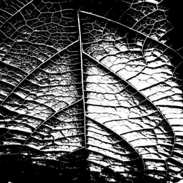 Photographie intitulée "marée noire" par Marc Daniel, Œuvre d'art originale