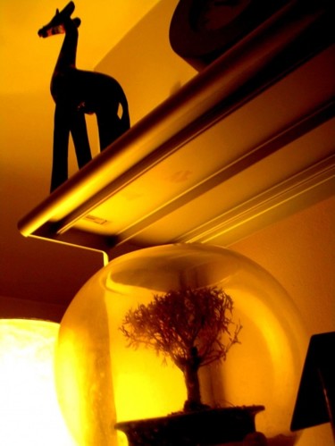 Photographie intitulée "la girafe et l'arbr…" par Jusama, Œuvre d'art originale