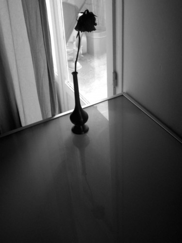 Photographie intitulée "nature morte à la r…" par Jusama, Œuvre d'art originale