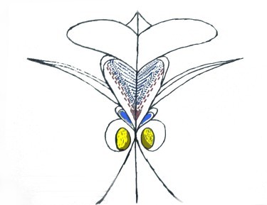 Dessin intitulée "dessin_3.jpg" par Merito Said, Œuvre d'art originale