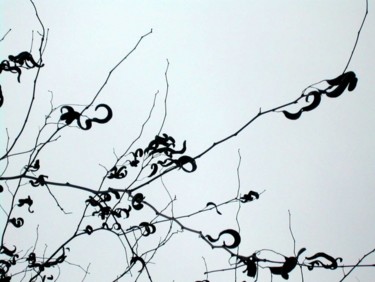 Photographie intitulée "calligraphie végéta…" par Jusama, Œuvre d'art originale