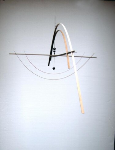SUSPENSION  M29